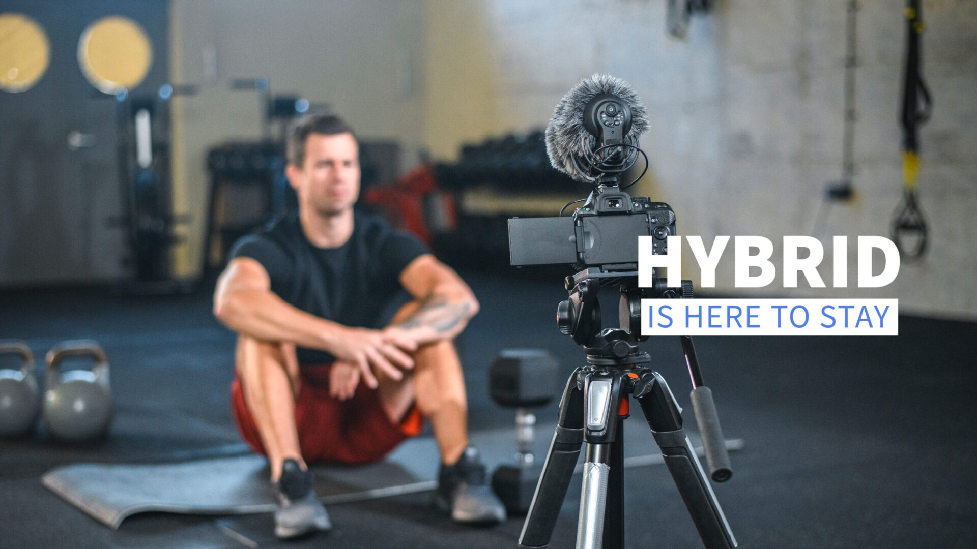 Hybrid is here to stay