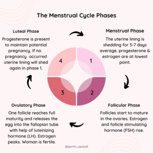 Menstrual cycle training for women | MAGICLINE Blog